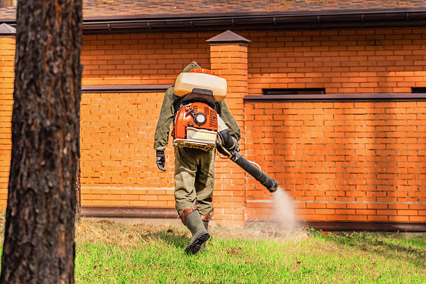 Trusted Cockroach Control service in Marianne, PA - Nex Pest Control
